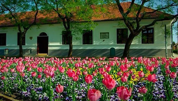 Apartament Mate Jula